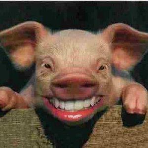 Meet your Posher, Diane